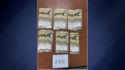 빈집 20여 곳 털어 2억 금품 챙긴 40대 구속송치 / YTN