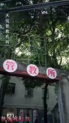 The fake sister’s game chinese drama [Multi Sub]