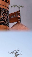 reset_metadata_lv_7466108031051353405_20250627125404