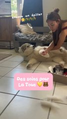 Je ne lâcherai pas ma Toun 💛🐻