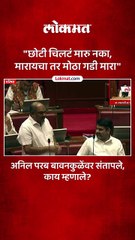 छोटी चिलटं मारु नका मारायचा तर मोठा गडी मारा