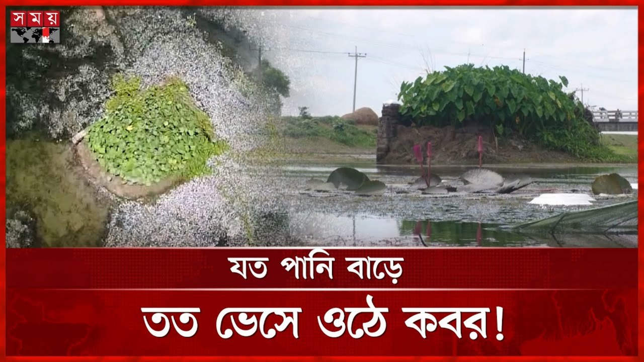 Mystery Grave in the Canal! 🕋 খালের মাঝে অলৌকিক কবর, ভাঙতে গেলেই বিপত্তি | Islamic Story | Bangla Mystery 2025