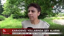 Karadeniz yollarında şev alarmı: Ulaşımda kaya düşmesi riski artıyor
