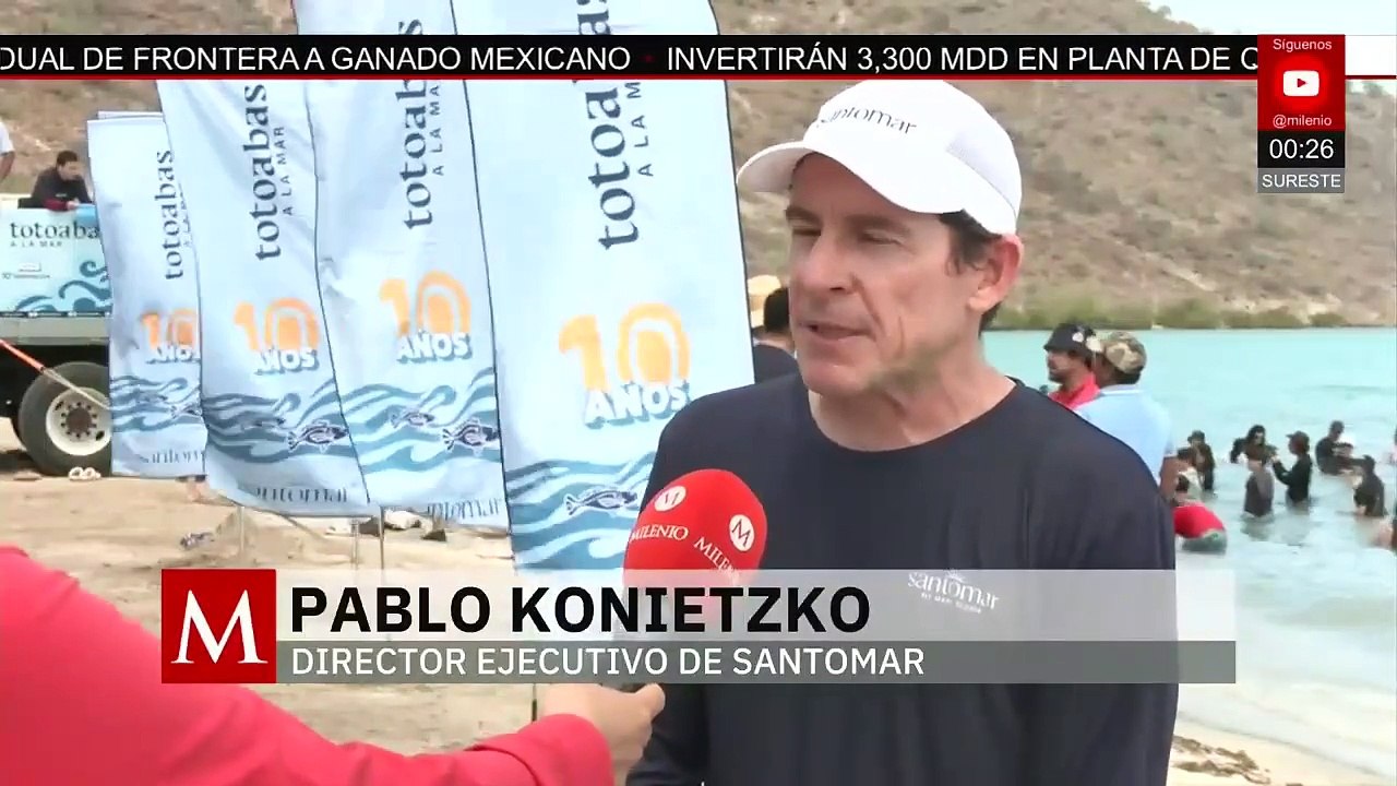 Programa Totoabas a la Mar cumple una década conservando especies marinas