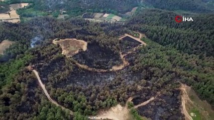 Bilecik'te 3 gün boyunca süren, orman yangınında acı bilanço ortaya çıktı