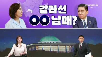 [여랑야랑]김병기·나경원, 갈라선 ‘동작’ 남매?