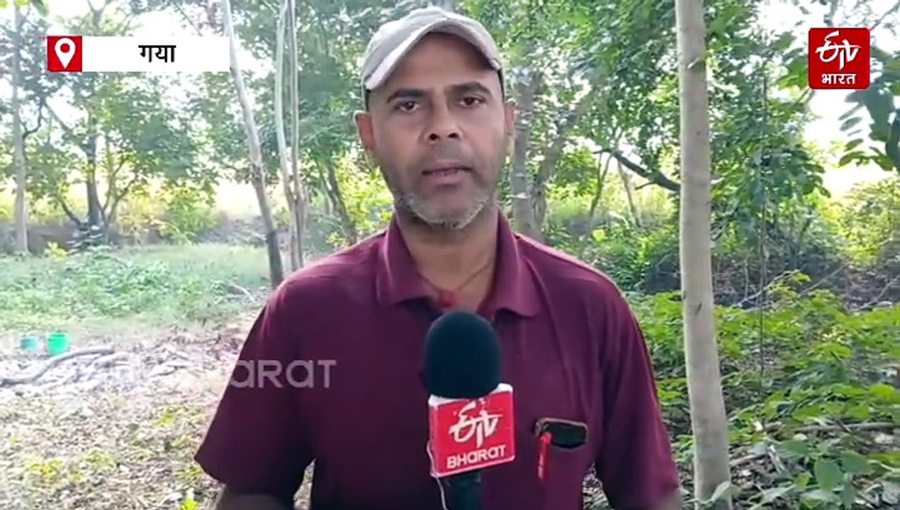 इस गांव में मौत के बाद अगली पीढ़ी के लिए किया जाता है लकड़ी का इंतजाम, कभी नाले में बहाया गया था शव