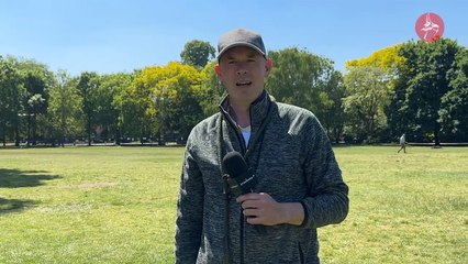 The London Question: What's the best thing to do in the city on a sunny day?