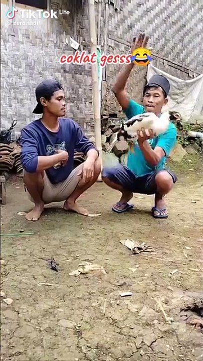Comedy films and funny videos