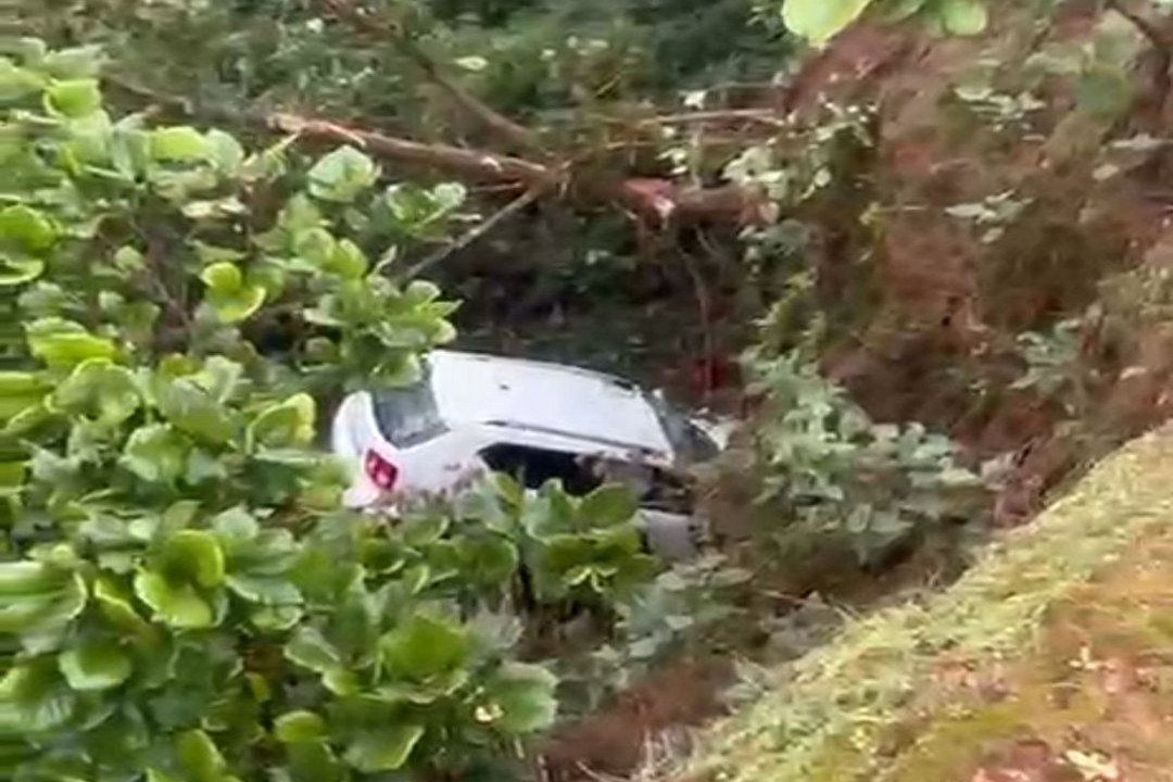Car fell in ditch: मैनपाट के मेहता प्वाइंट में खाई में गिरी कार, 4 घायल, अंबिकापुर से आए थे घूमने