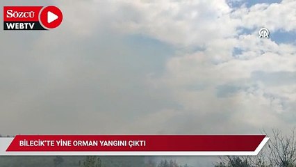 Bilecik’te yine orman yangını çıktı