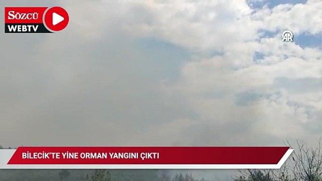 Bilecik’te yine orman yangını çıktı