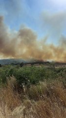 Seferihisar'da alevler durmuyor: İzmir'in bir köyünde daha yangın başladı