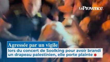 Agressée par un vigile lors du concert de Soolking pour avoir brandi un drapeau  palestinien