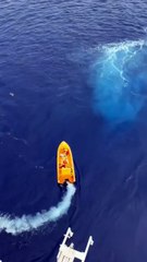 Pai salta ao mar para salvar filha que caiu em cruzeiro da Disney