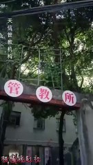 The Fake Sister’S Game Multi Sub Movies