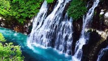 Relaxing Zen Music with Water Sounds • Peaceful Ambience for Spa, Yoga and Relaxation