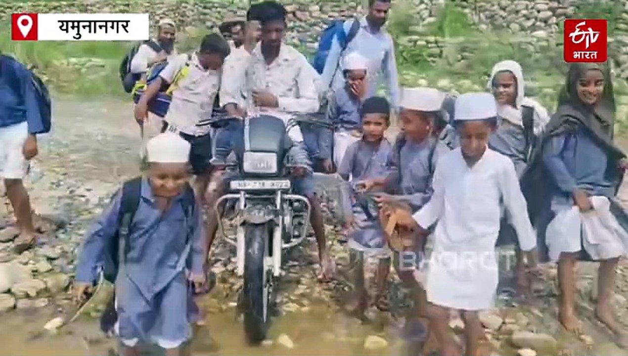 यमुनानगर में जान जोखिम में डाल कर स्कूल जा रहे बच्चे, पुल नहीं रहने से नदी पार कर जाने को मजबूर