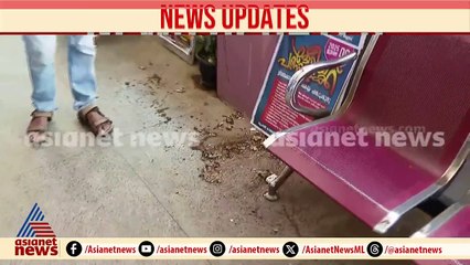 പത്തനംതിട്ട കളക്ടറേറ്റിൽ DMO ഓഫീസ് പ്രവർത്തിക്കുന്ന കെട്ടിടത്തിന്റെ മേൽക്കൂരയുടെ ഭാഗം അടർന്നുവീണു