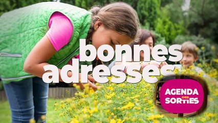 Agenda des Sorties : Été 2025-2