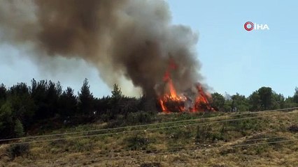 Buca’da orman yangınını söndürme çalışmaları sürüyor