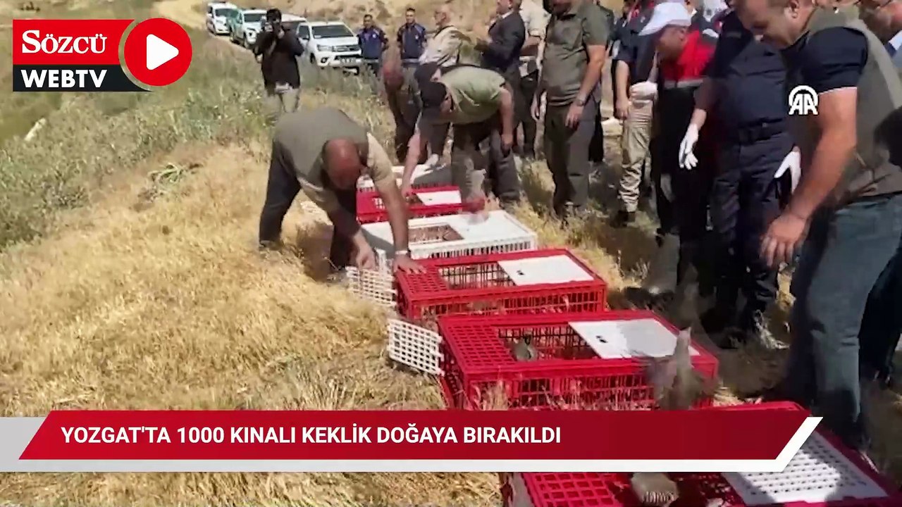 Yozgat'ta 1000 kınalı keklik doğaya bırakıldı