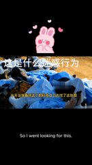 They’re Not a Couple? Then Why Are They Sharing a Blanket?!