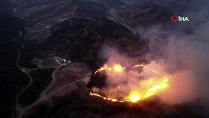 Manisa'daki yangının sebebi şoke etti: Bir kene için 120 dönümlük ormanı yaktı!