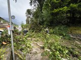 Folate di vento su Trento, alberi caduti e problemi alla viabilit?