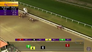 Coolmore - Epicenter