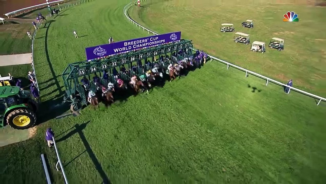 Coolmore - Golden Pal 2