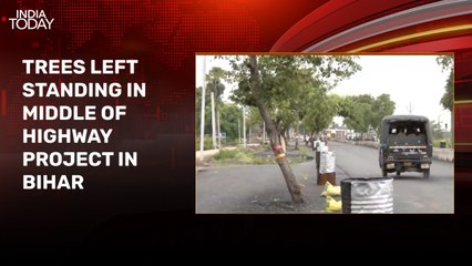 Rs 100 crore highway project in Bihar turns hazardous with trees in middle