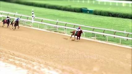 Coolmore - Jack Christopher 2