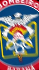 Cão Bastião deu fim à angústia de família ao encontrar idosa em Umuarama