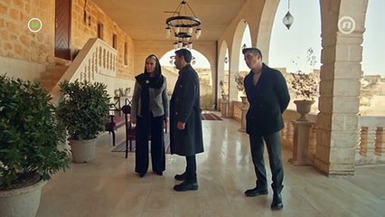 Serija  Daleki Grad grad 15 epizoda