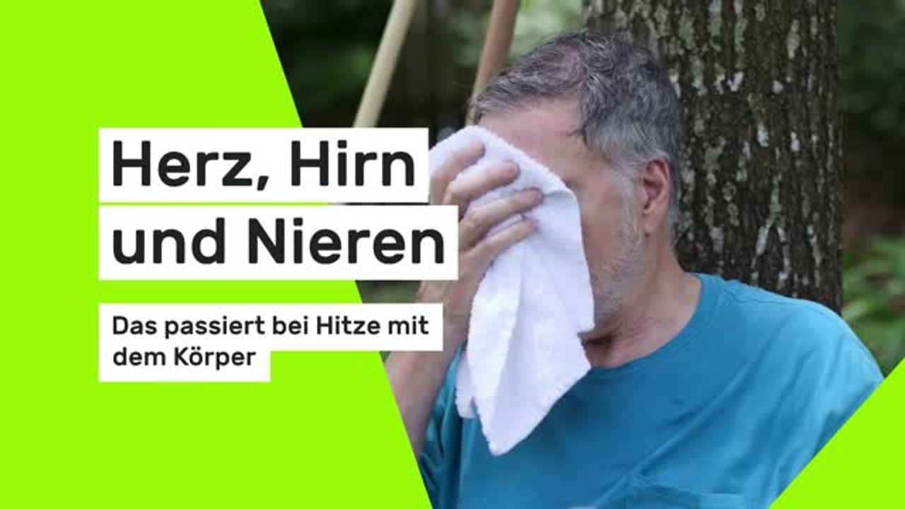 Herz, Hirn und Nieren: Das passiert bei Hitze mit dem Körper