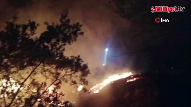 Balıkesir'de zeytinlik alanda çıkan yangına ekipler müdahale ediyor