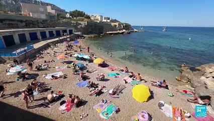Aumento de la temperatura en el mar Mediterráneo pone en peligro a la vida marina