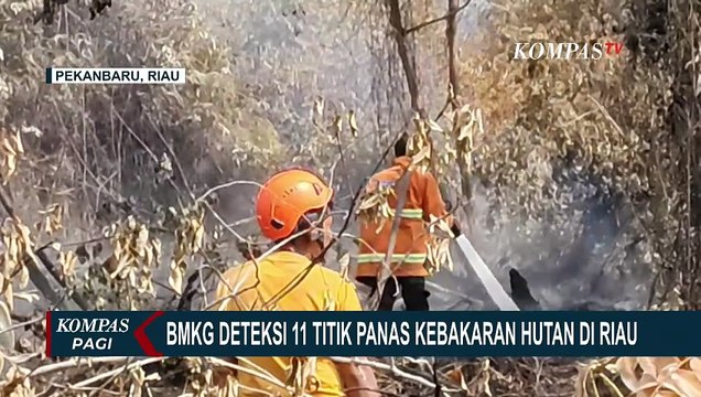 BMKG Deteksi 11 Titik Panas di Riau, Belum Terpantau Kabut Asap di Pekanbaru