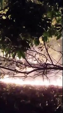 Caseiro incendeia galhos de árvores em propriedade e assusta moradores de Abrantes: ‘foi um desespero’