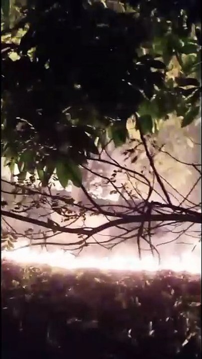 Caseiro incendeia galhos de árvores em propriedade e assusta moradores de Abrantes: ‘foi um desespero’