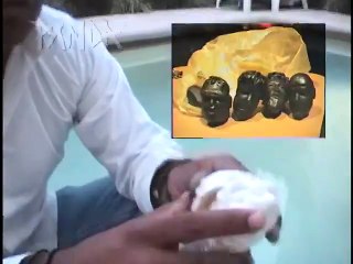 PANDA - Para Ti con Desprecio | movie | 2005 | Official Clip