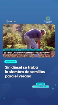 Sin diésel se traba la siembra de semillas para el verano
