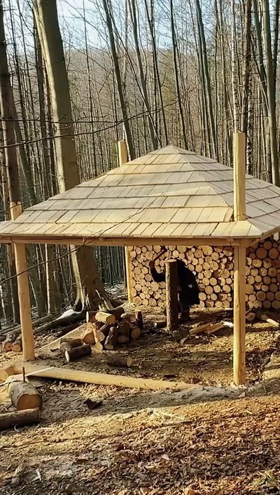 Log Cabin in the forest part 2