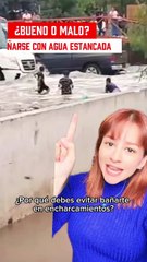 ¿Por qué debes evitar bañarte en encharcamientos, según expertos?