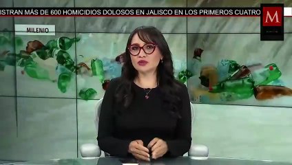 Profepa detecta 2 mil 600 hectáreas de selva taladas por menonitas | Milenio Hábitat