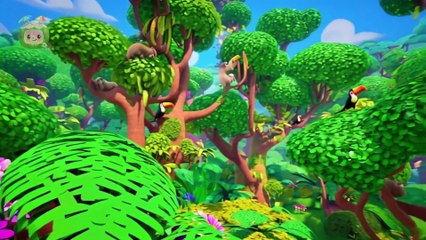 Animals All Around Song | Cocoturtle Nursery Rhymes & Kids Songs