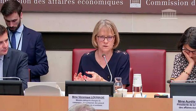 Commission des affaires économiques : Mme Véronique Louwagie, ministre déléguée chargée du commerce, de l’artisanat, des petites et moyennes entreprises et de l’économie sociale et solidaire - Mardi 1 juillet 2025