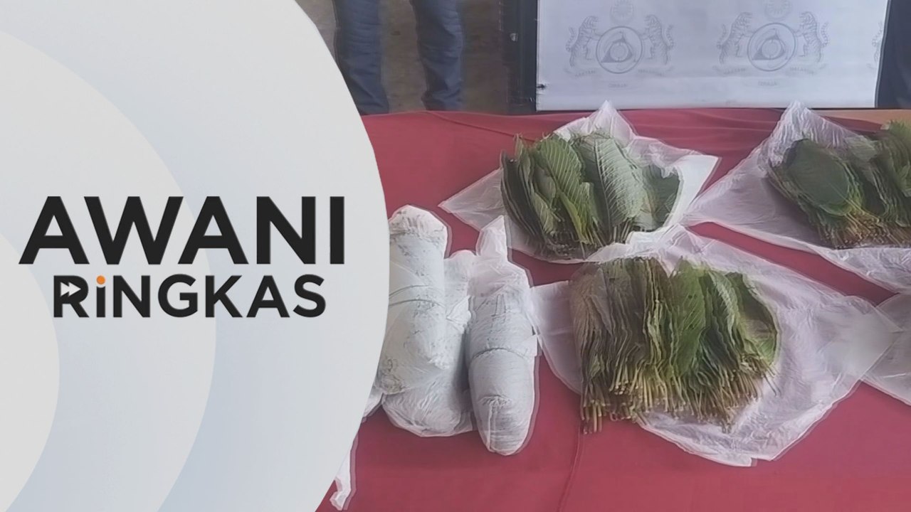 AWANI Ringkas: Gesaan AADK kepada pengguna daun ketum