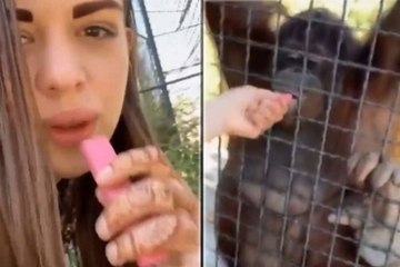 Polémica mundial: la boxeadora Anastasia Luchkina obliga a fumar a un orangután